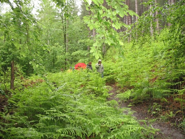 2007 05 Myco porte Baudet 04